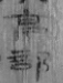1629434685(1)
