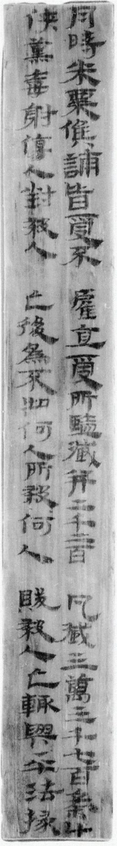 截屏2025-05-06 23.28.10