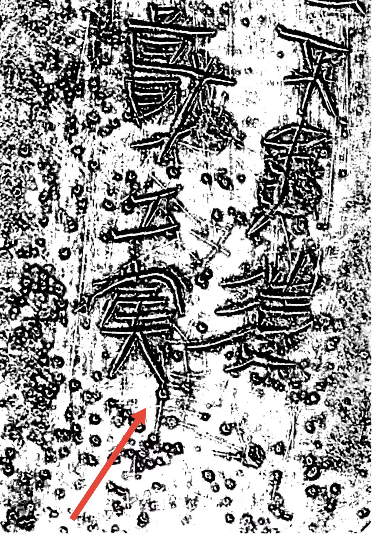 上博藏五年相邦呂不韋戈B