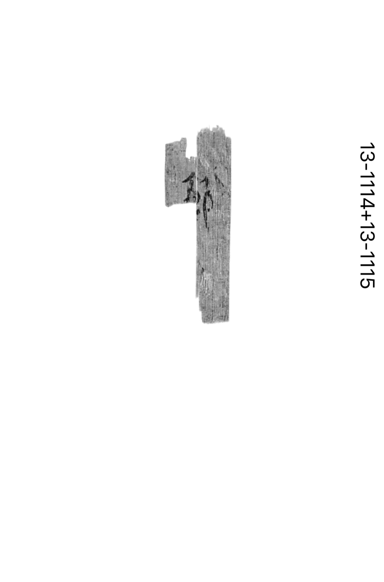 IMG_4714.jpeg