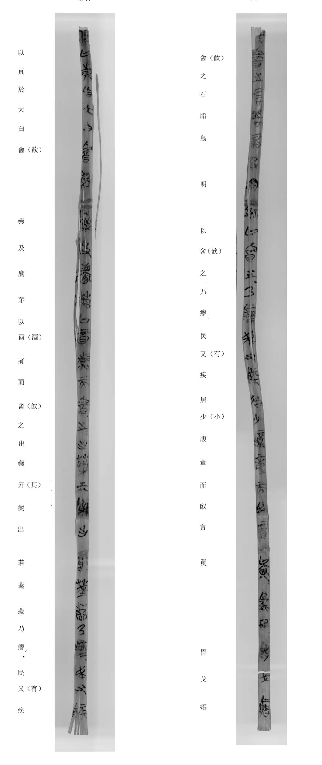 楚简药方.jpg