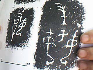 图片 009.jpg