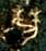 C:UsersjqhuangDesktop博士后報告翼城大河口西周墓地M1017-6铜盂铭文.jpg