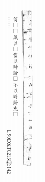 Ⅱ90DXT0213②：142圖版.png
